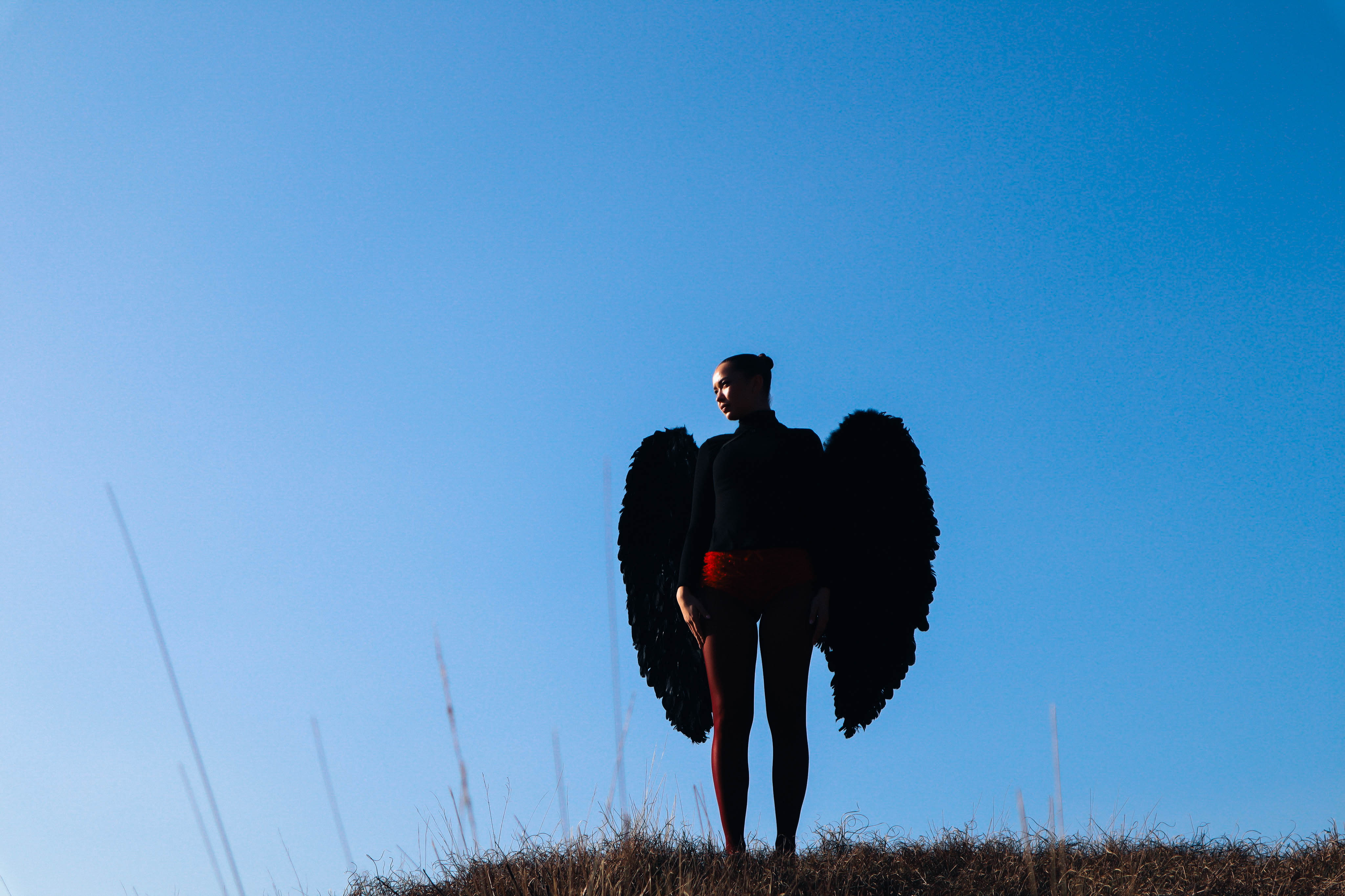 Forged in Feathers